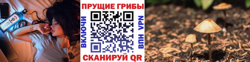 Галлюциногенные грибы Cubensis  Моршанск 