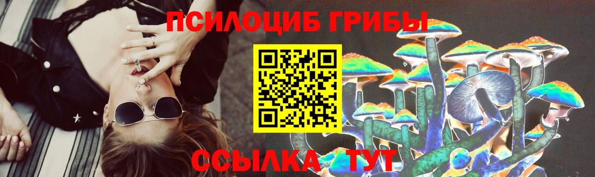 Псилоцибиновые грибы Magic Shrooms  Вход с VPN  Моршанск 
